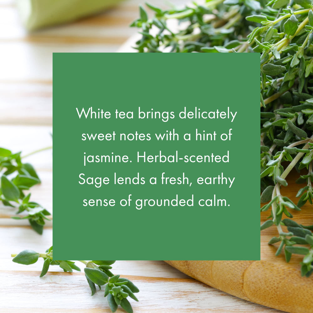ScentAir Home Fragrance Cartridge, White Tea & Thyme