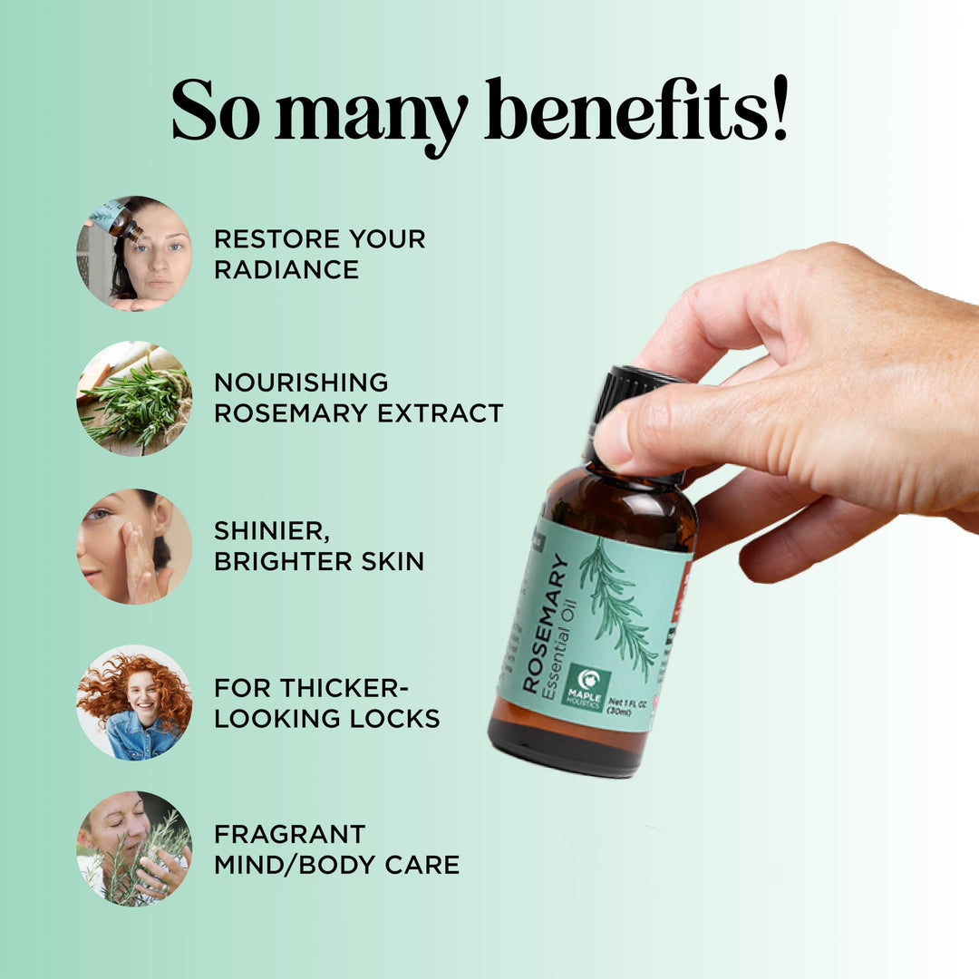 Maple Holistics Rosemary Essential Oil, Rosemary