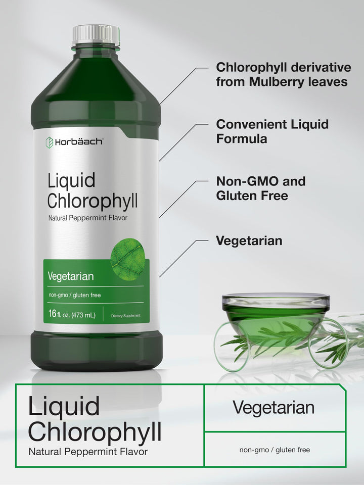 Horbäach Liquid Chlorophyll, Unflavored, 100 mg, 950 ml, Pack of 2