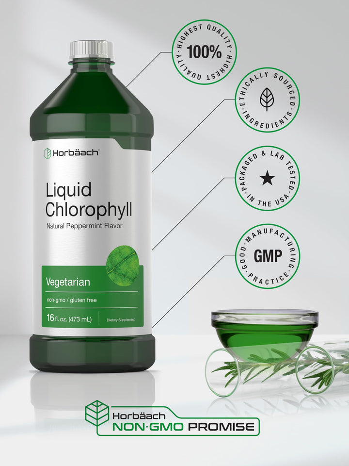 Horbäach Liquid Chlorophyll, Unflavored, 100 mg, 950 ml, Pack of 2