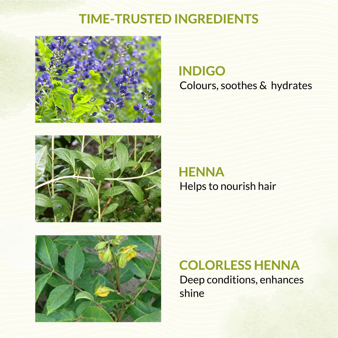 INDUS VALLEY Bio Organic Natural Henna Hair Color, Chocolate, 100 g