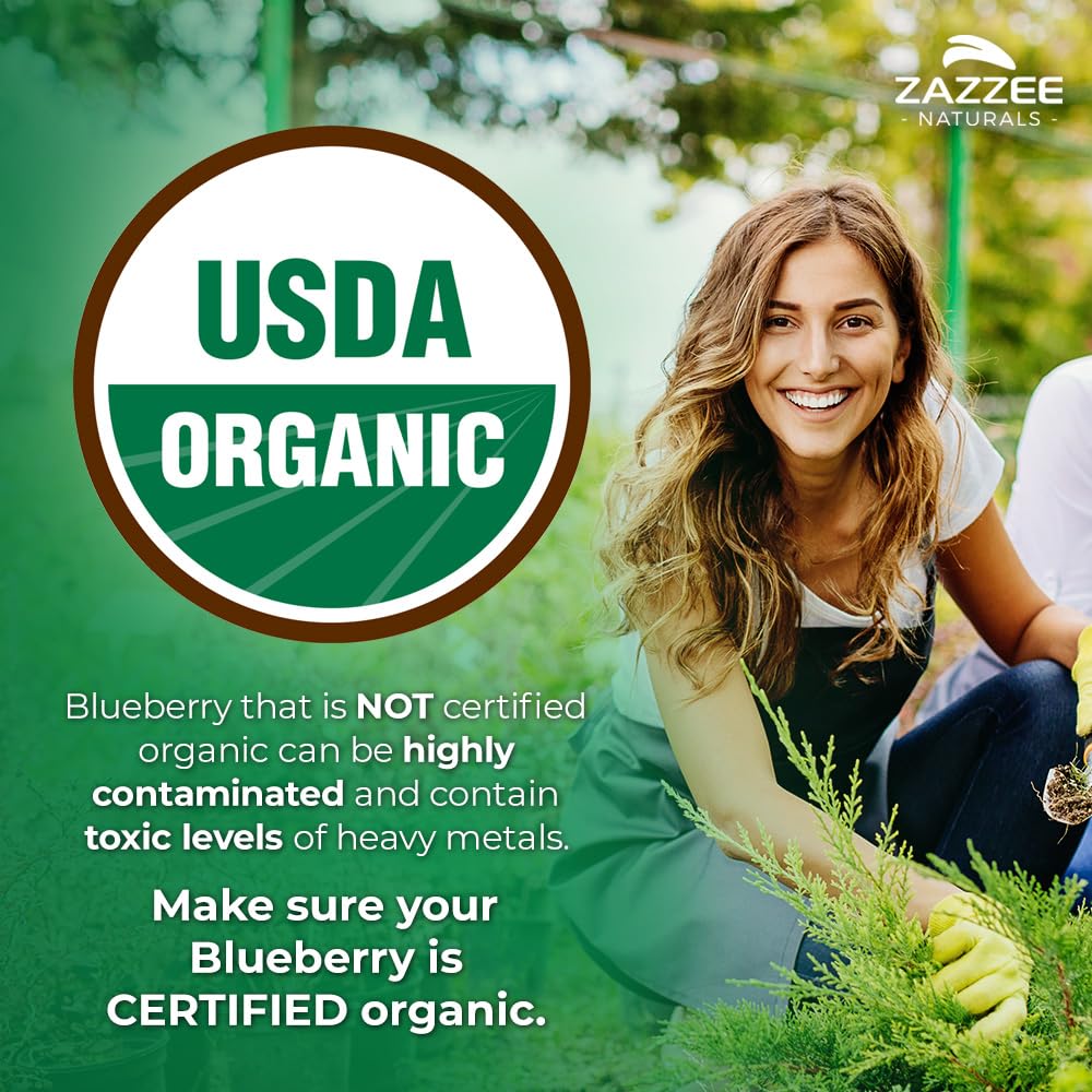 Zazzee Blueberry Extract, 5000 mg, 120 Count