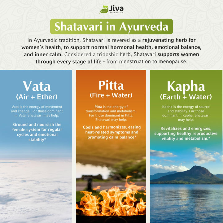 Jiva Botanicals Shatavari Capsules, 1200 mg, 60 Count