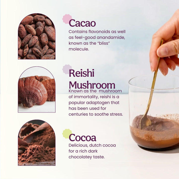 Blume Superfood Latte, Reishi Hot Cacao Powder, 25 Count