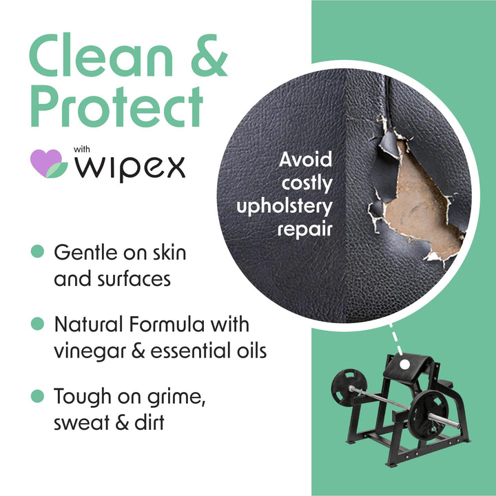 Wipex Gym Equipment Cleaning Wipes, Lemongrass, 700 Count