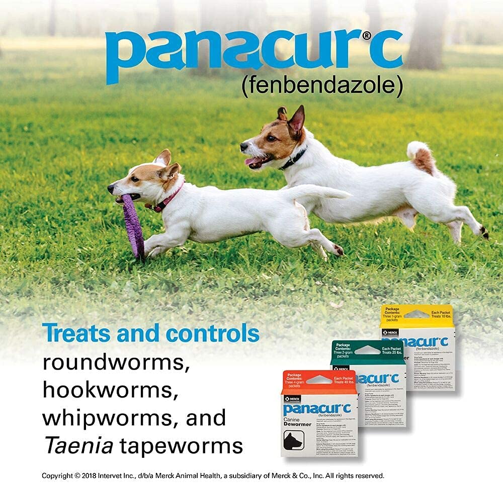 Panacur Canine Dewormer, 1 g