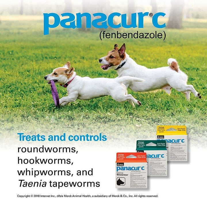 Panacur Canine Dewormer, 1 g