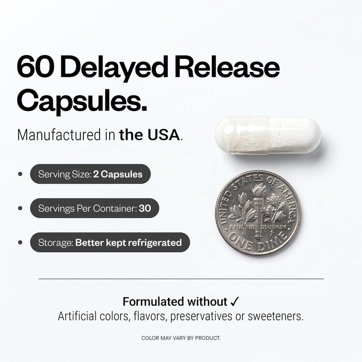 Supersmart Lactobacillus Rhamnosus GG Probiotic Capsules, 10 Billion CFU, 60 Count