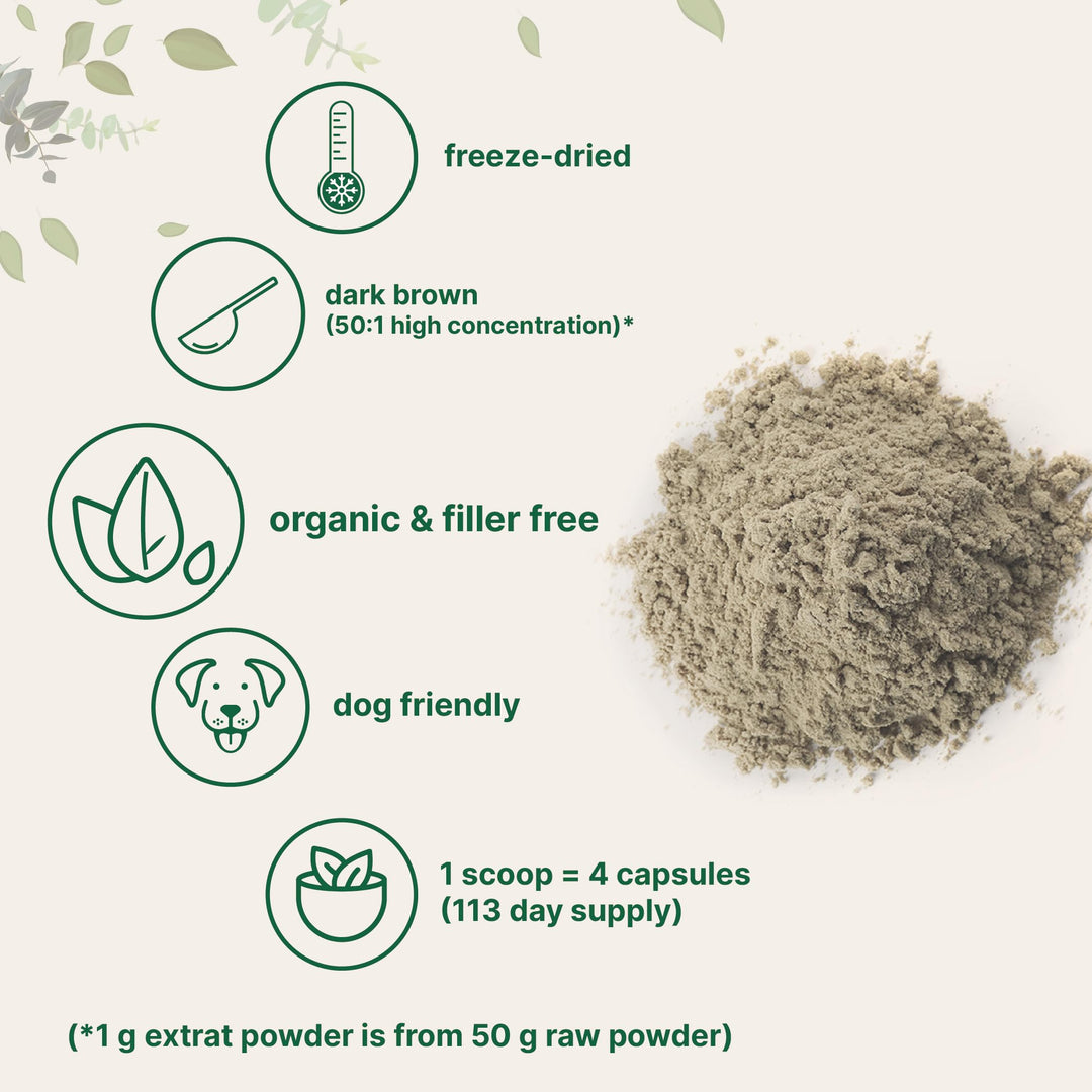 Micro Ingredients Organic Turkey Tail Mushroom Powder, 8 oz