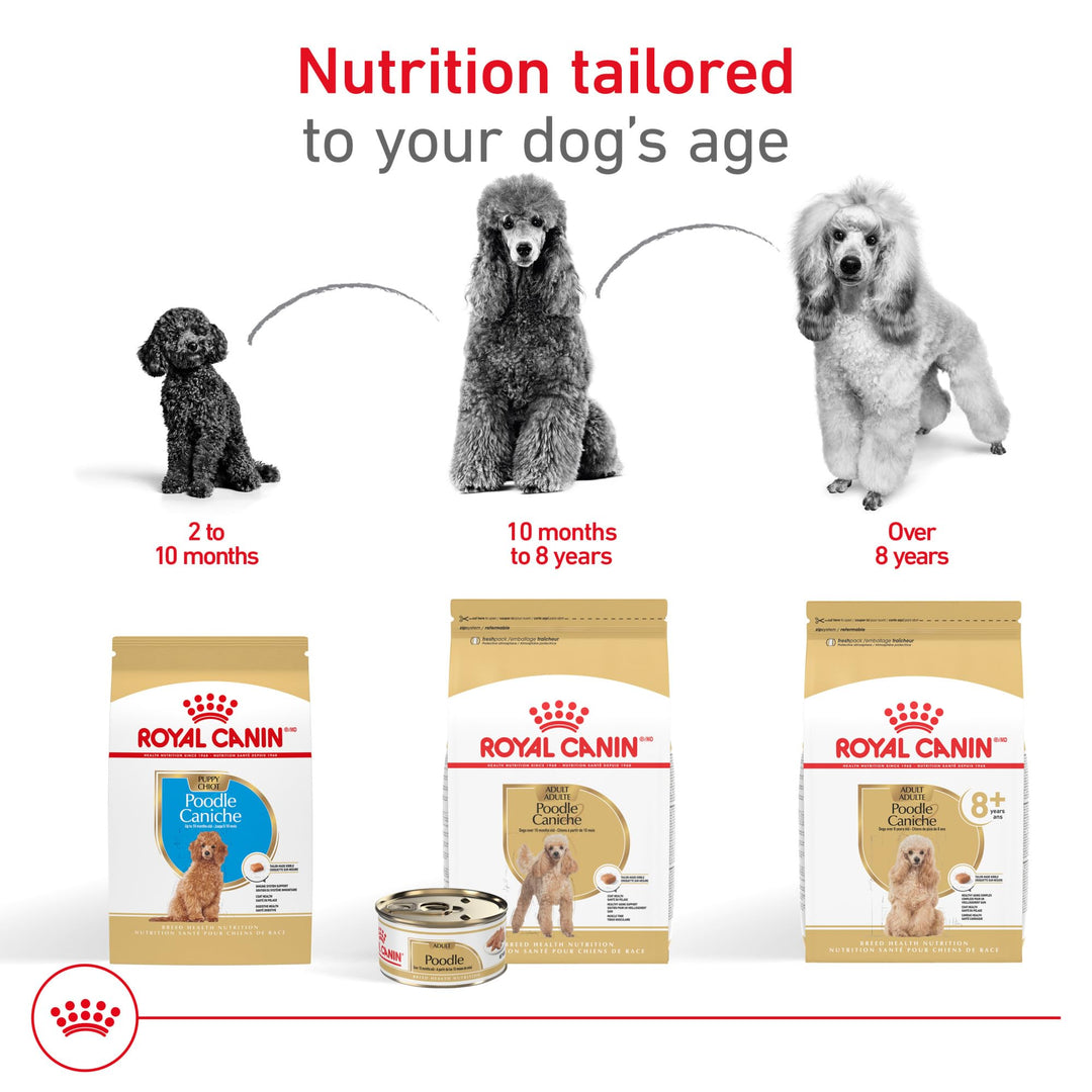 ROYAL CANIN Poodle Puppy Dry Dog Food, 2.5 lb