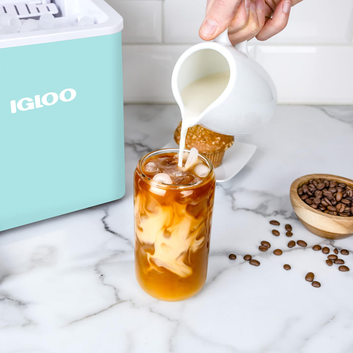 Igloo Portable Electric Countertop Ice Maker, 26 lb, 9 Count