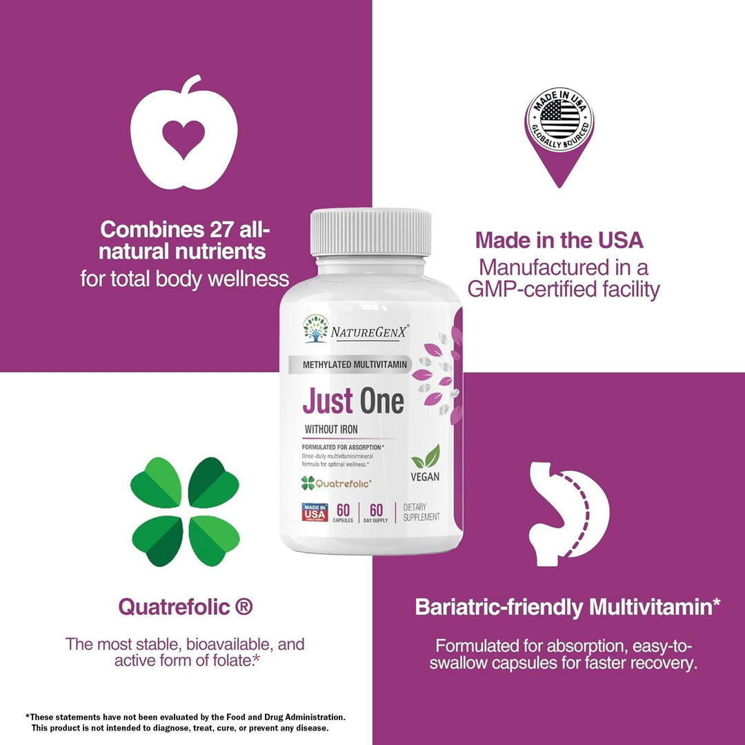 NatureGenX Just One Daily Methyl Multi MTFHR Supplement, 60 Count
