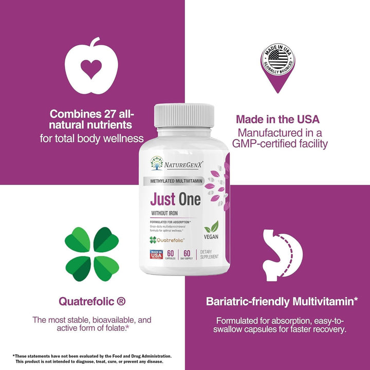 NatureGenX Just One Daily Methyl Multi MTFHR Supplement, 60 Count