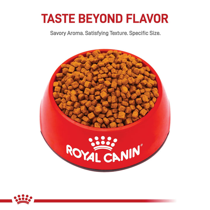 ROYAL CANIN Poodle Puppy Dry Dog Food, 2.5 lb