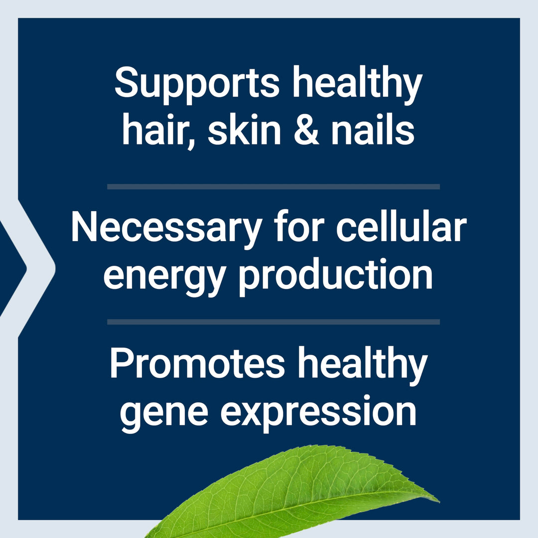 Life Extension Biotin, 600 mcg, 100 Count