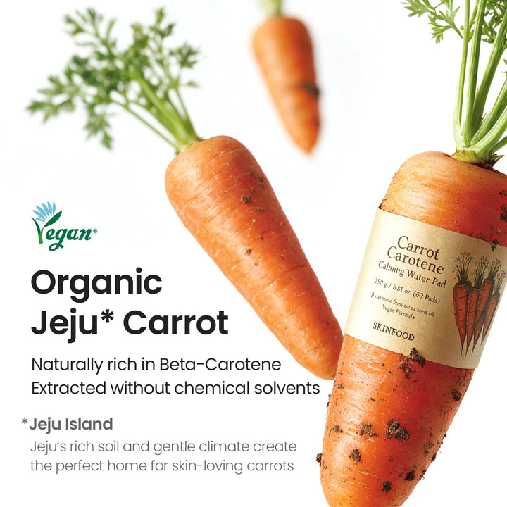 SKIN FOOD since 1957 Carrot Carotene Toner Pads, 60 Count