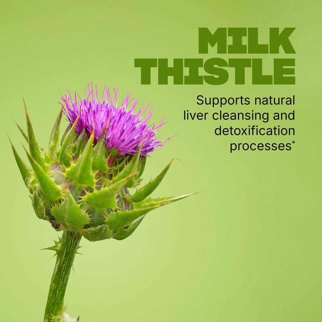 Swisse Milk Thistle Liver Support Supplement, 180 Count