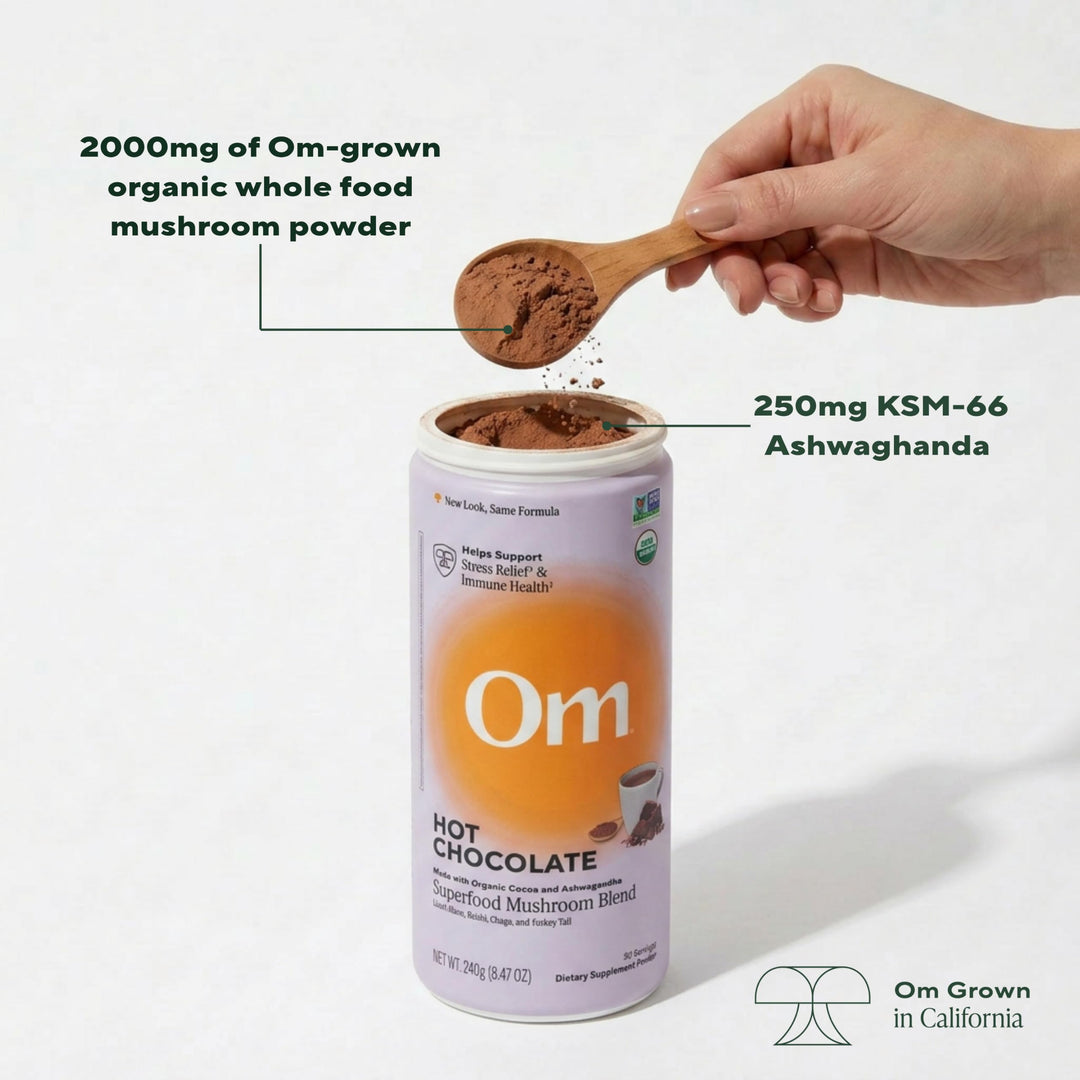 OM Mushroom Superfood Hot Chocolate Blend Mushroom Powder, Dutch Cocoa, 10 Count