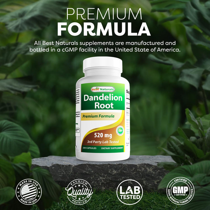 Best Naturals Dandelion Root Capsules, 520 mg, 250 Count