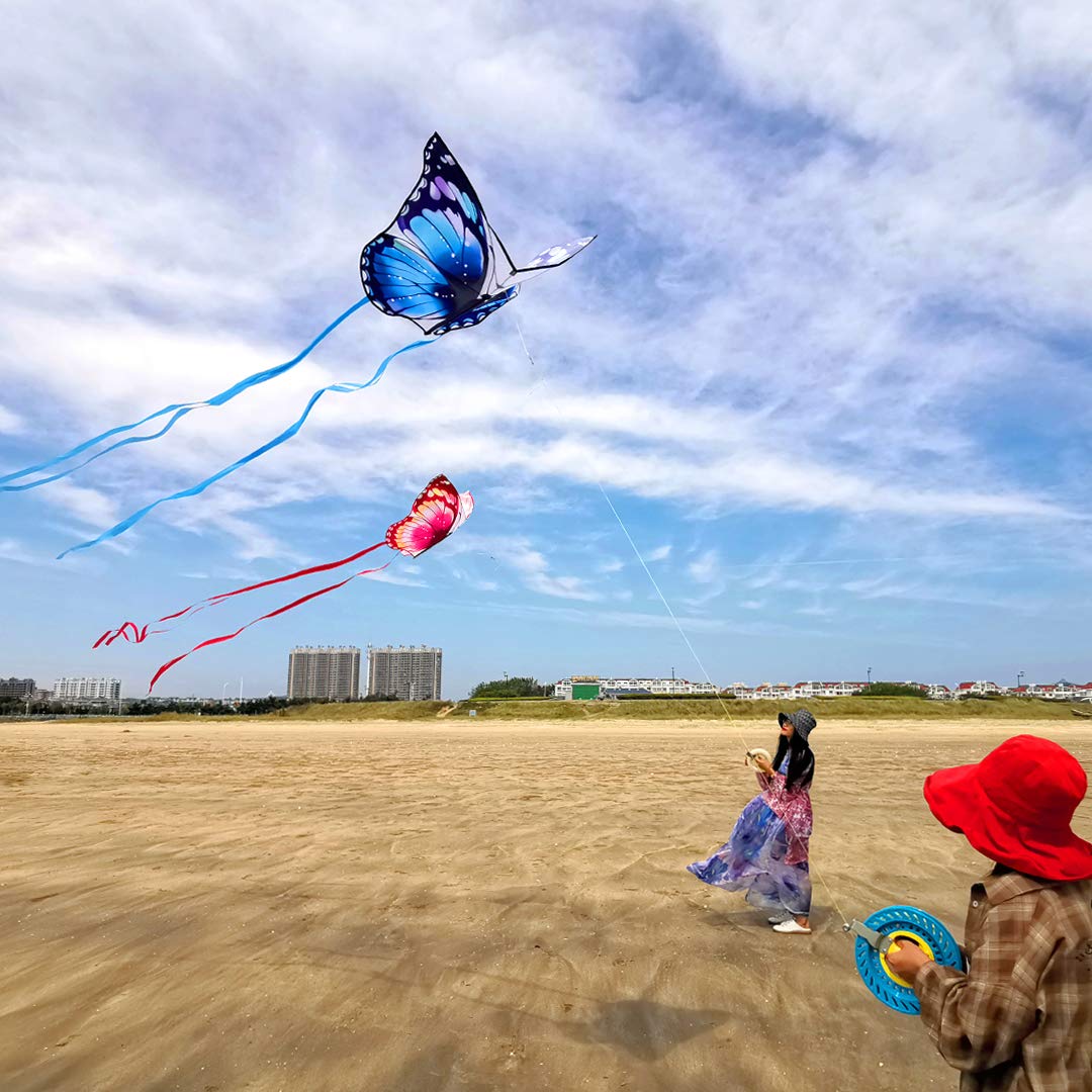 Mint's Colorful Life Butterfly Kite