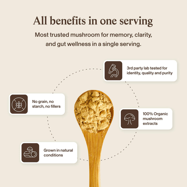 Visit the Real Mushrooms Store Lion's Mane Cognition Capsules, 120 Count