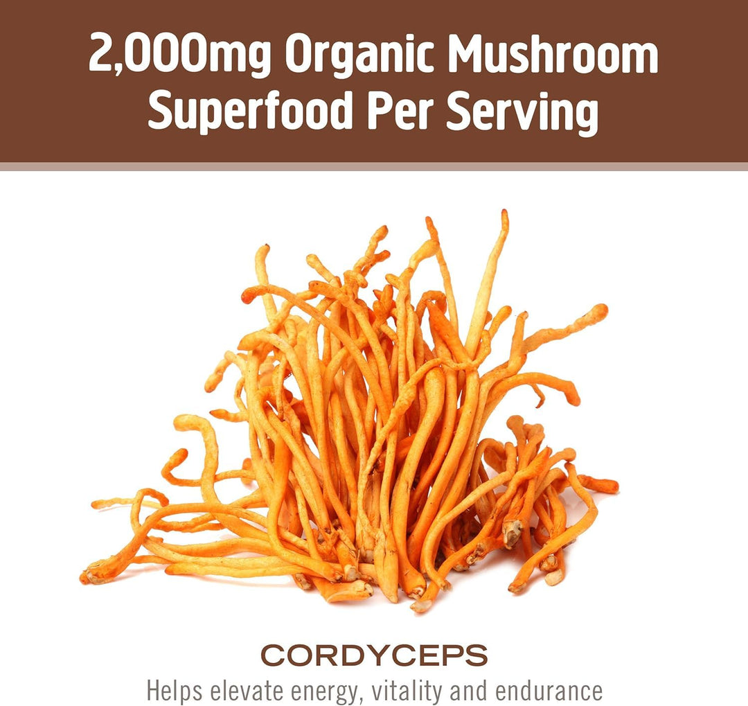 Om Mushroom Superfood Cordyceps Organic Mushroom Powder, 100 g