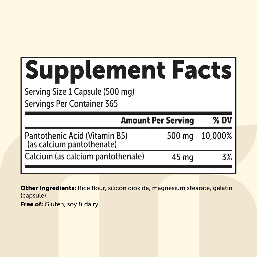 Micro Ingredients Pantothenic Acid Vitamin B5, 500 mg, 365 Count