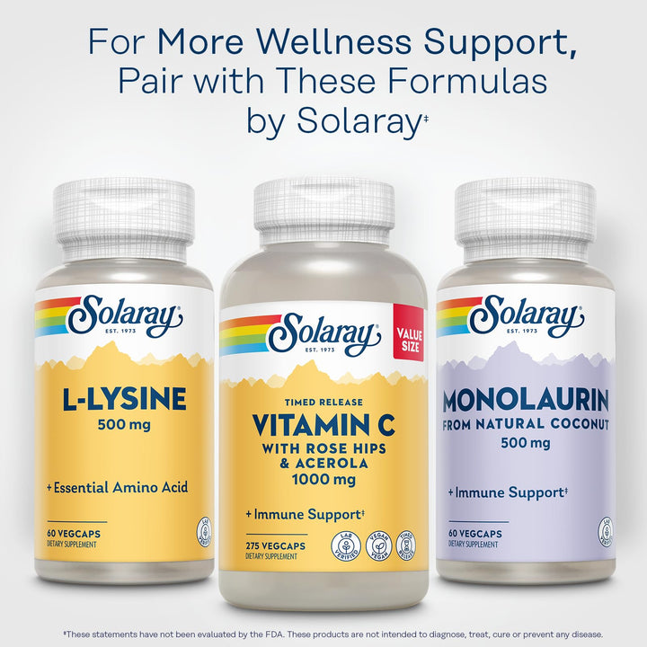 SOLARAY L-Lysine, 500 mg, 60 Count