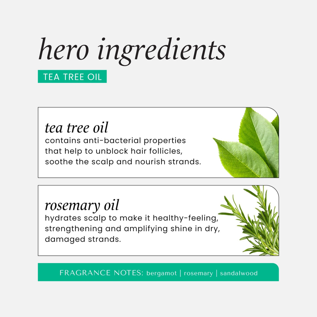 Hask Tea Tree Oil & Rosemary Shampoo, 355 ml