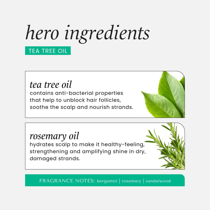 Hask Tea Tree Oil & Rosemary Shampoo, 355 ml