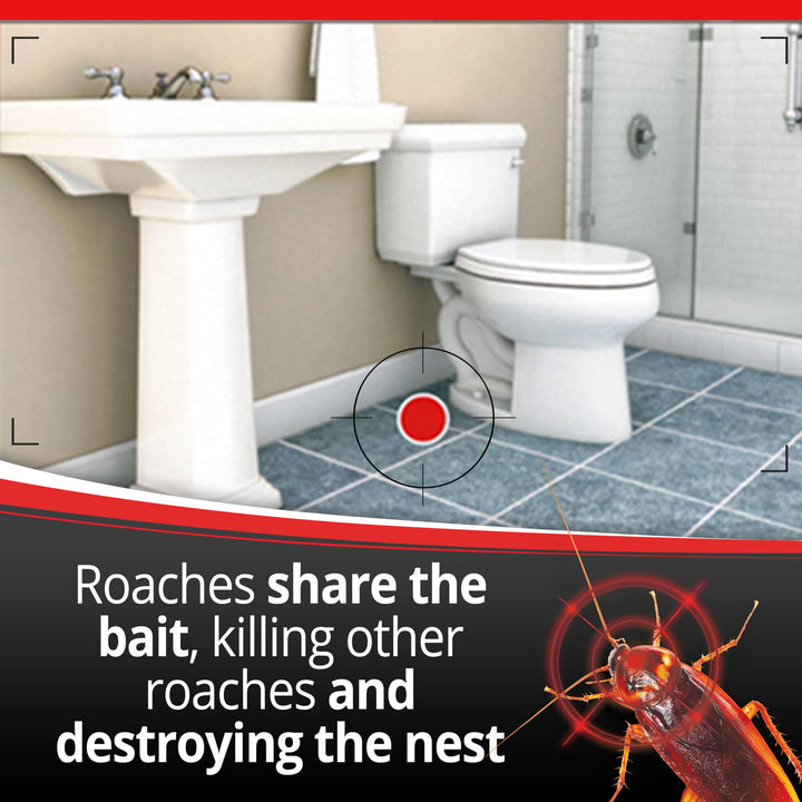 Combat Max Defense System Small Roach Killing Bait and Gel, 12 Count