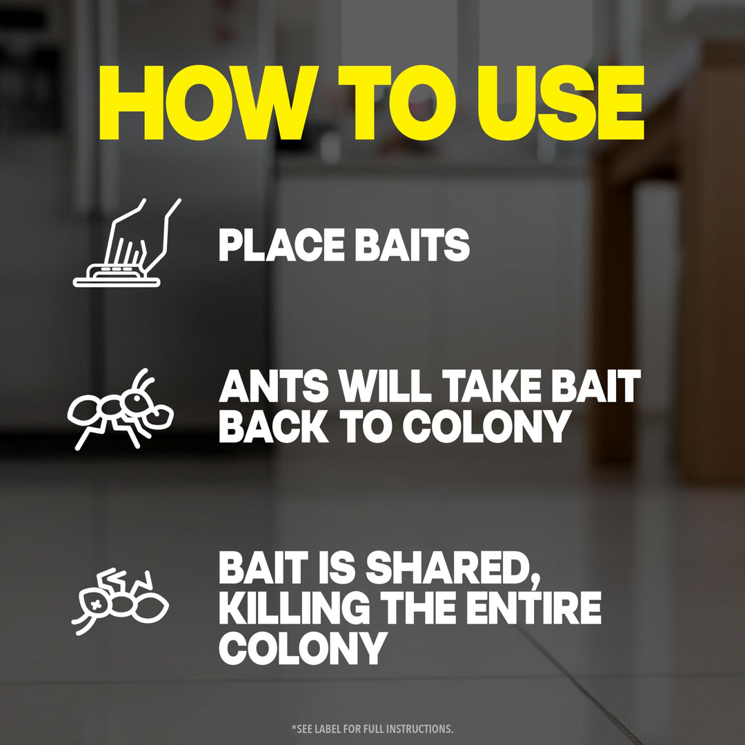 Raid Ant Killer Baits, 4 Count