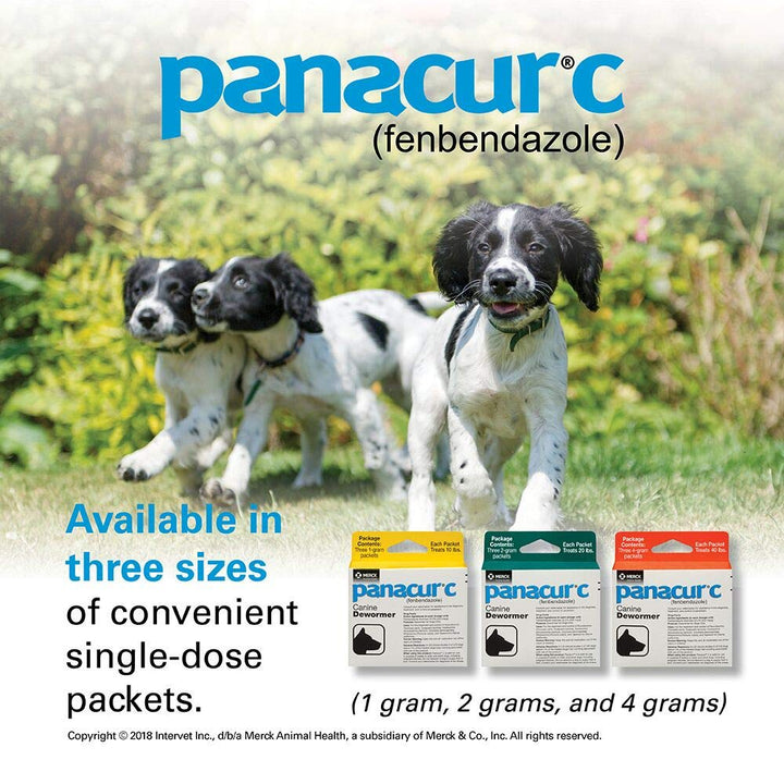 Panacur C Canine Dewormer, 2 g