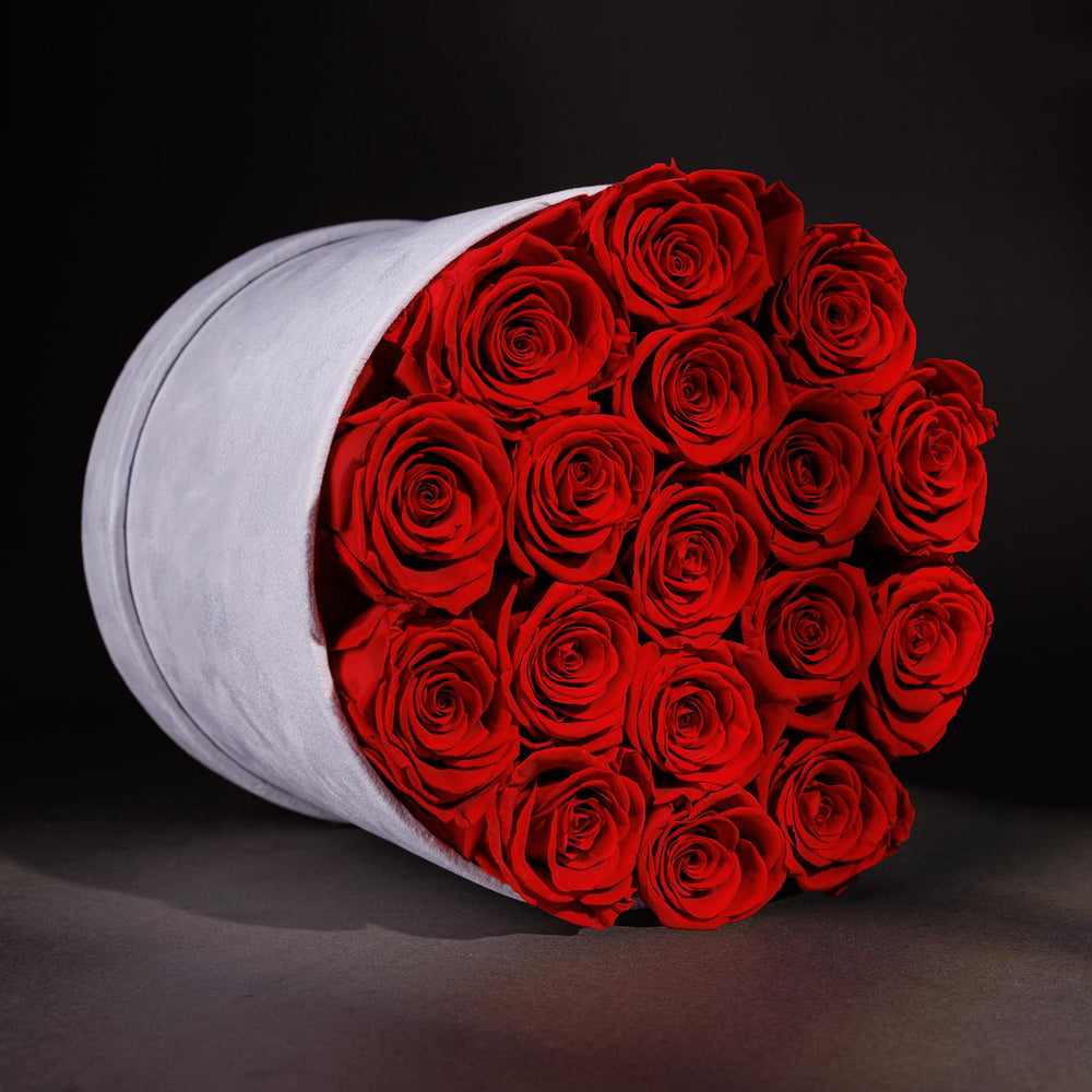 Prifroti Forever Preserved Roses, Red, 17 Count