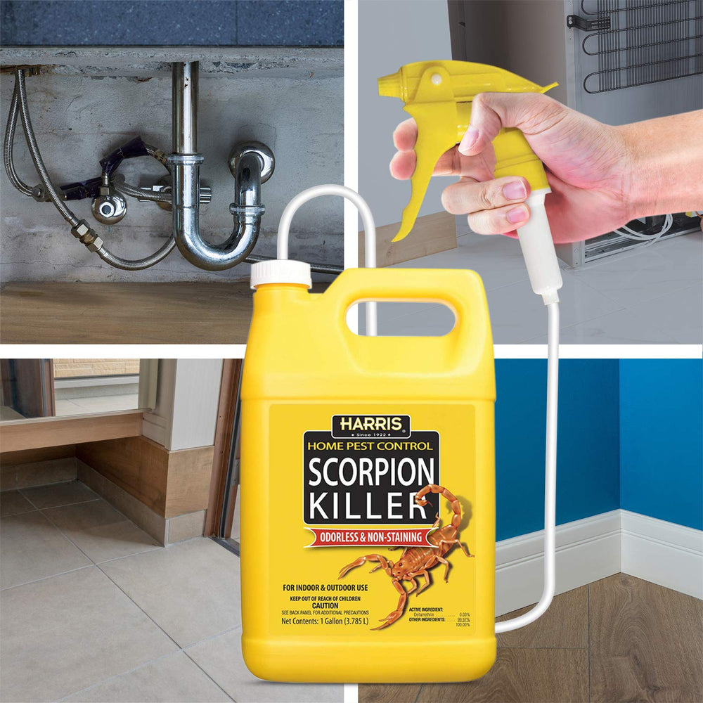 HARRIS Scorpion Killer, 128 fl oz