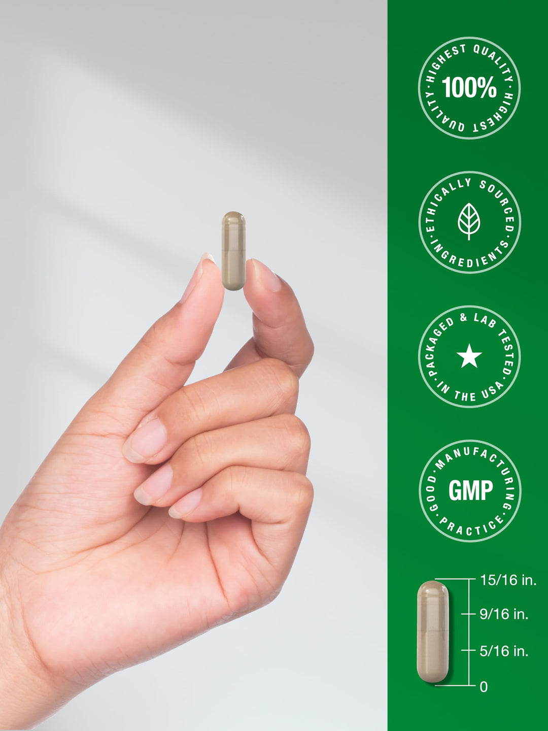 Horbäach Echinacea Goldenseal Supplement, 300 Count