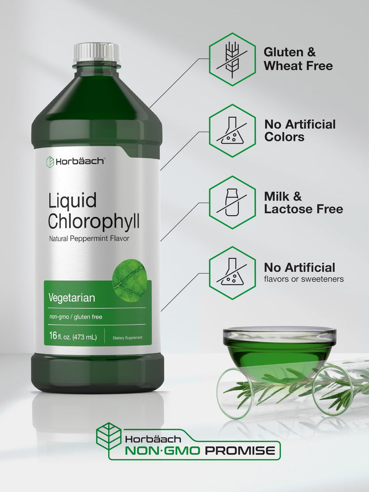 Horbäach Liquid Chlorophyll, Unflavored, 100 mg, 950 ml, Pack of 2