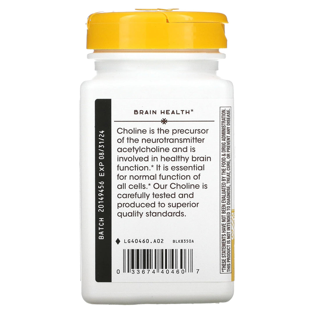 Nature's Way Choline, 500 mg, 100 Count