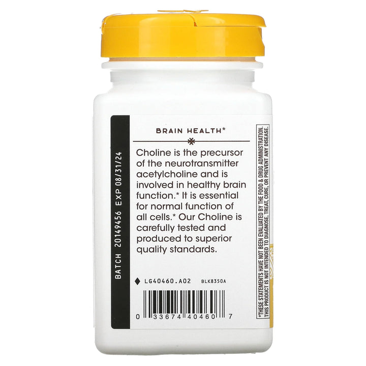Nature's Way Choline, 500 mg, 100 Count