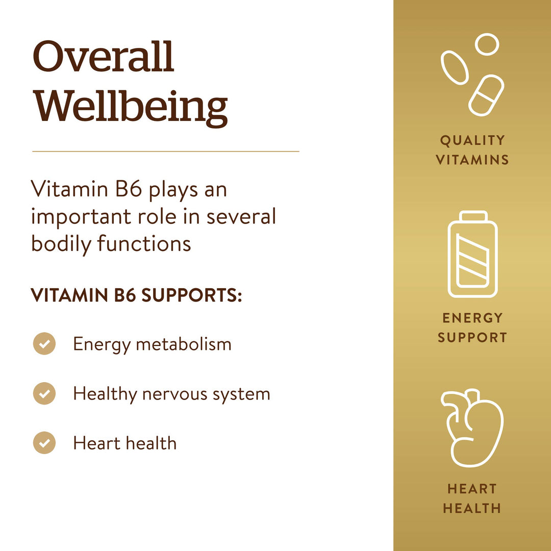 Solgar Vitamin B-6, 100 mg, 100 Count