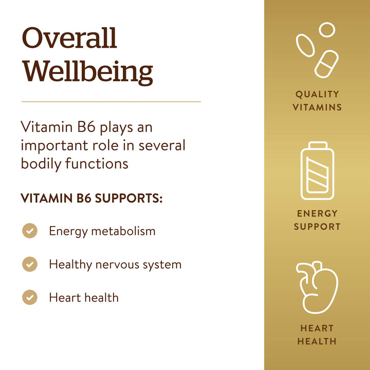 Solgar Vitamin B-6, 100 mg, 100 Count