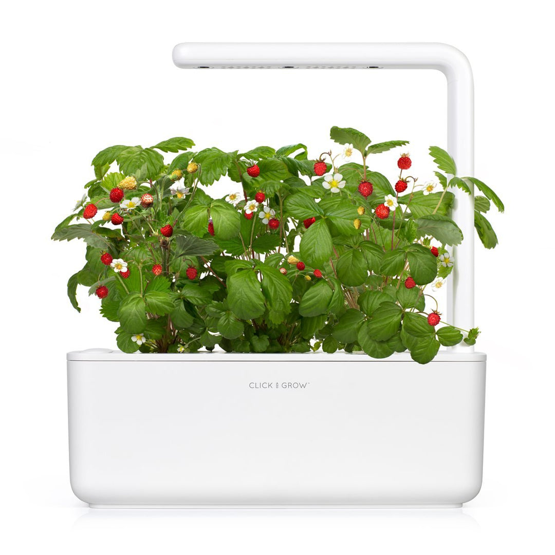 Click and Grow Smart Garden Wild Strawberry Plant Pods, 3 Count