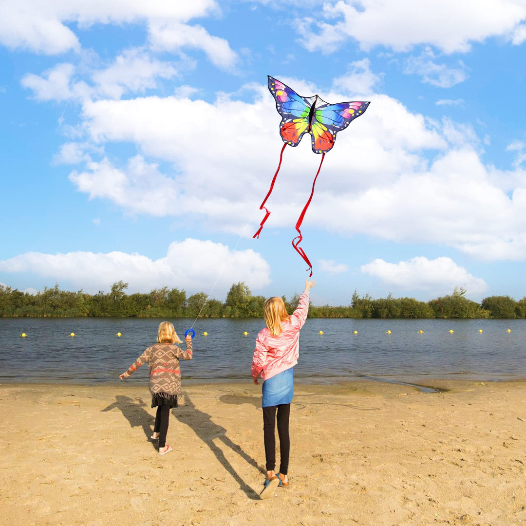 Kaiciuss Butterfly Kite, Large, Single Line
