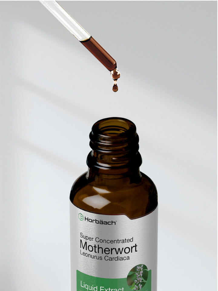 Horbäach Motherwort Herb Extract, Low Alcohol Liquid, 2 fl oz