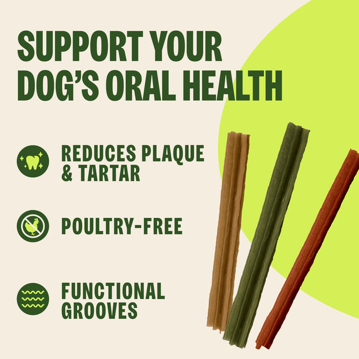 WHIMZEES Natural Grain Free Dental Dog Treats, Medium Stix, 14 Count