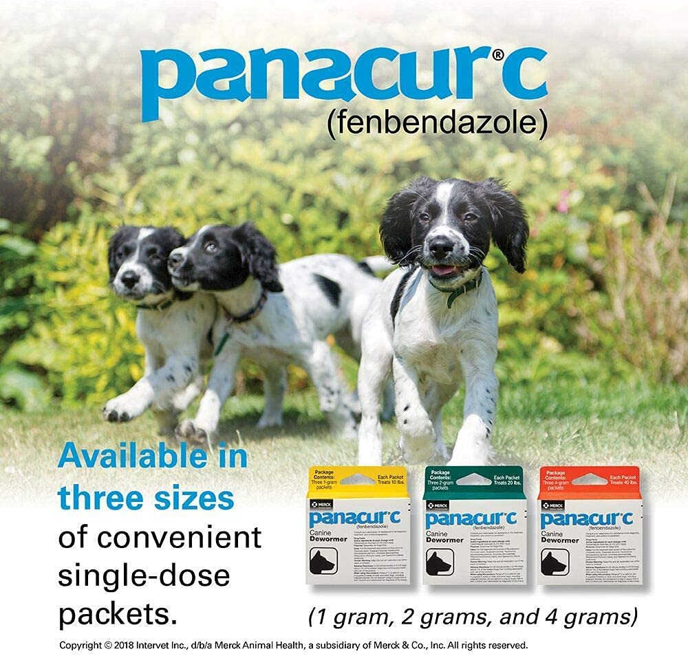 Panacur Canine Dewormer, 1 g