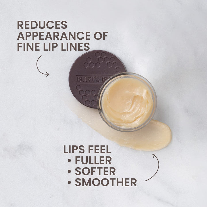 Burt's Bees Overnight Lip Treatment, 7.08 g
