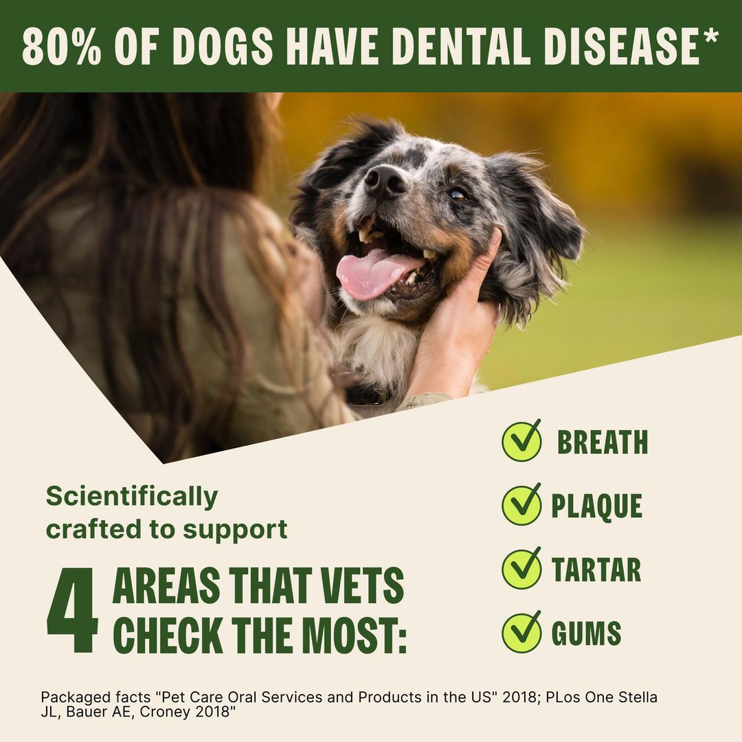 WHIMZEES Natural Grain Free Dental Dog Treats, Medium Stix, 14 Count