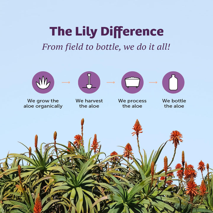 Lily of the Desert Aloe Vera Gel, Whole Leaf, 32 oz
