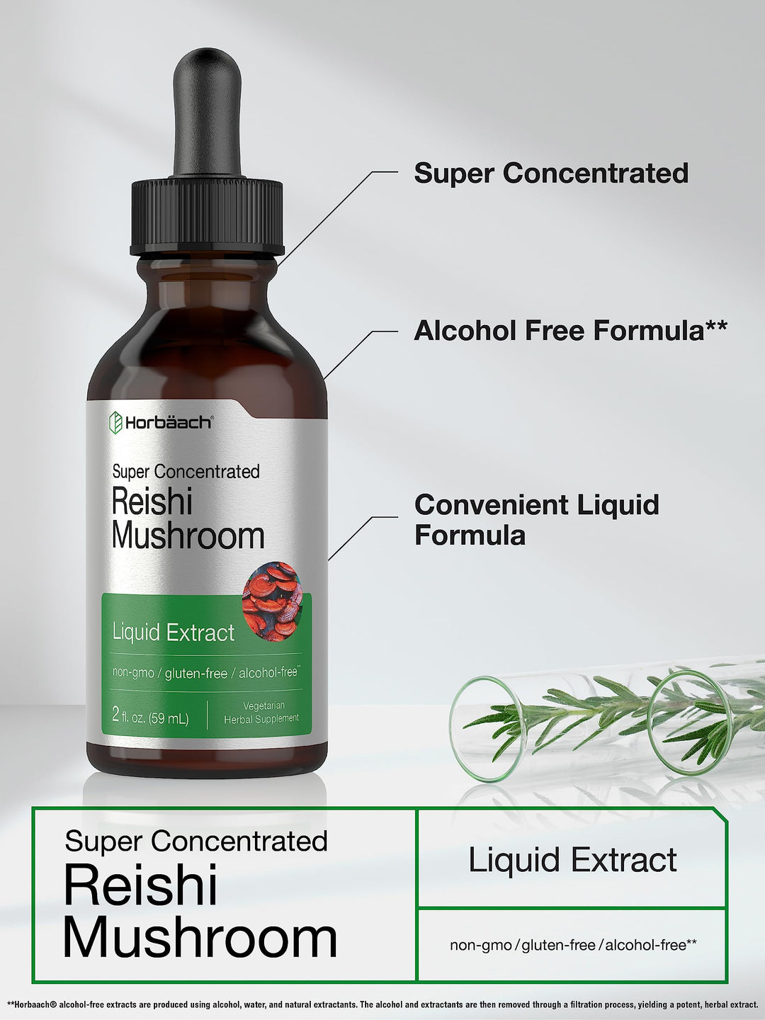 Horbäach Reishi Mushroom Extract Tincture, 2 fl oz